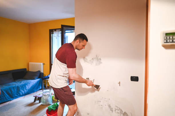 Best Same-Day Mold Removal  in Tavernier, FL